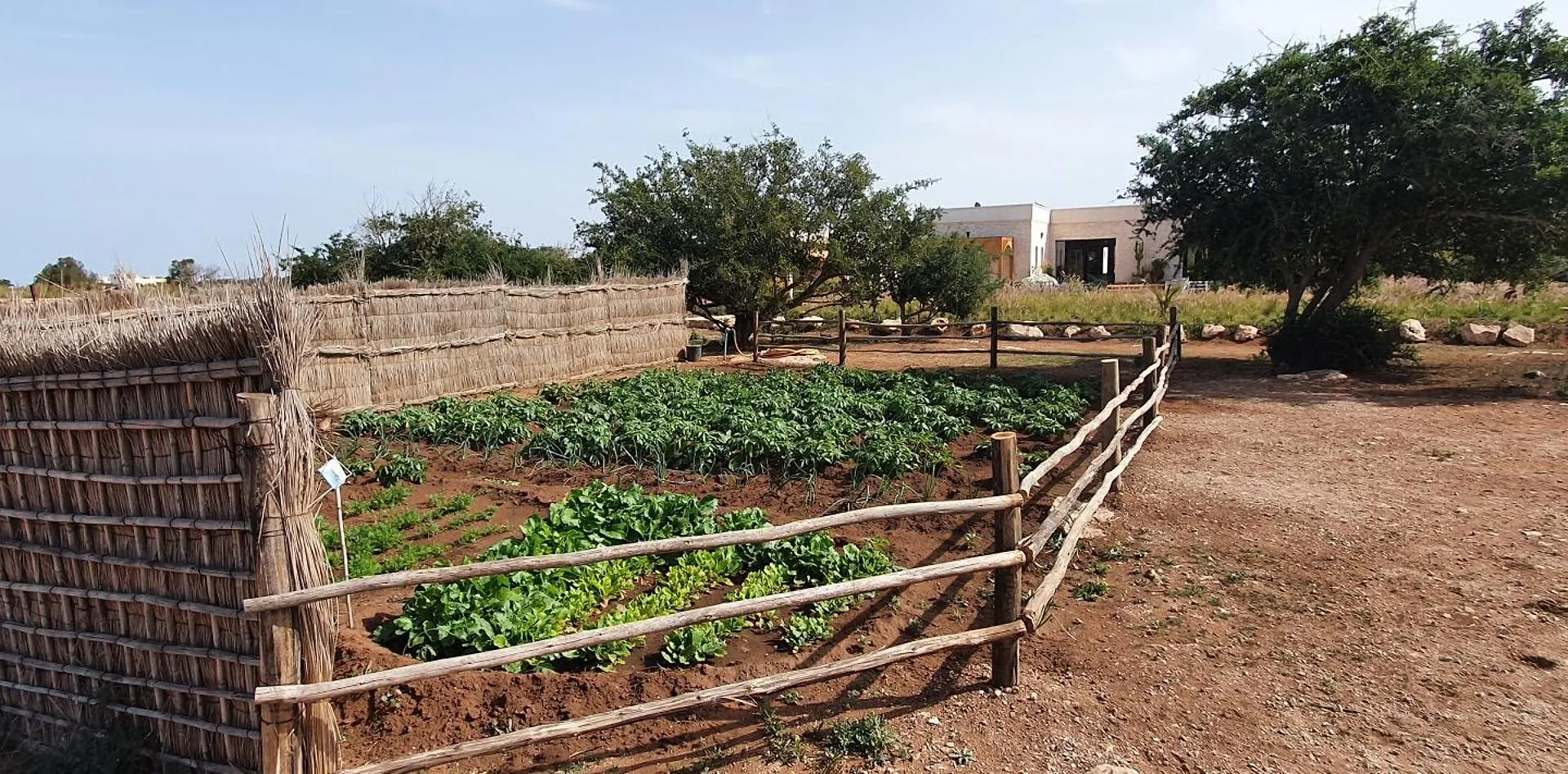Le Clos De La Roussiere Essaouira