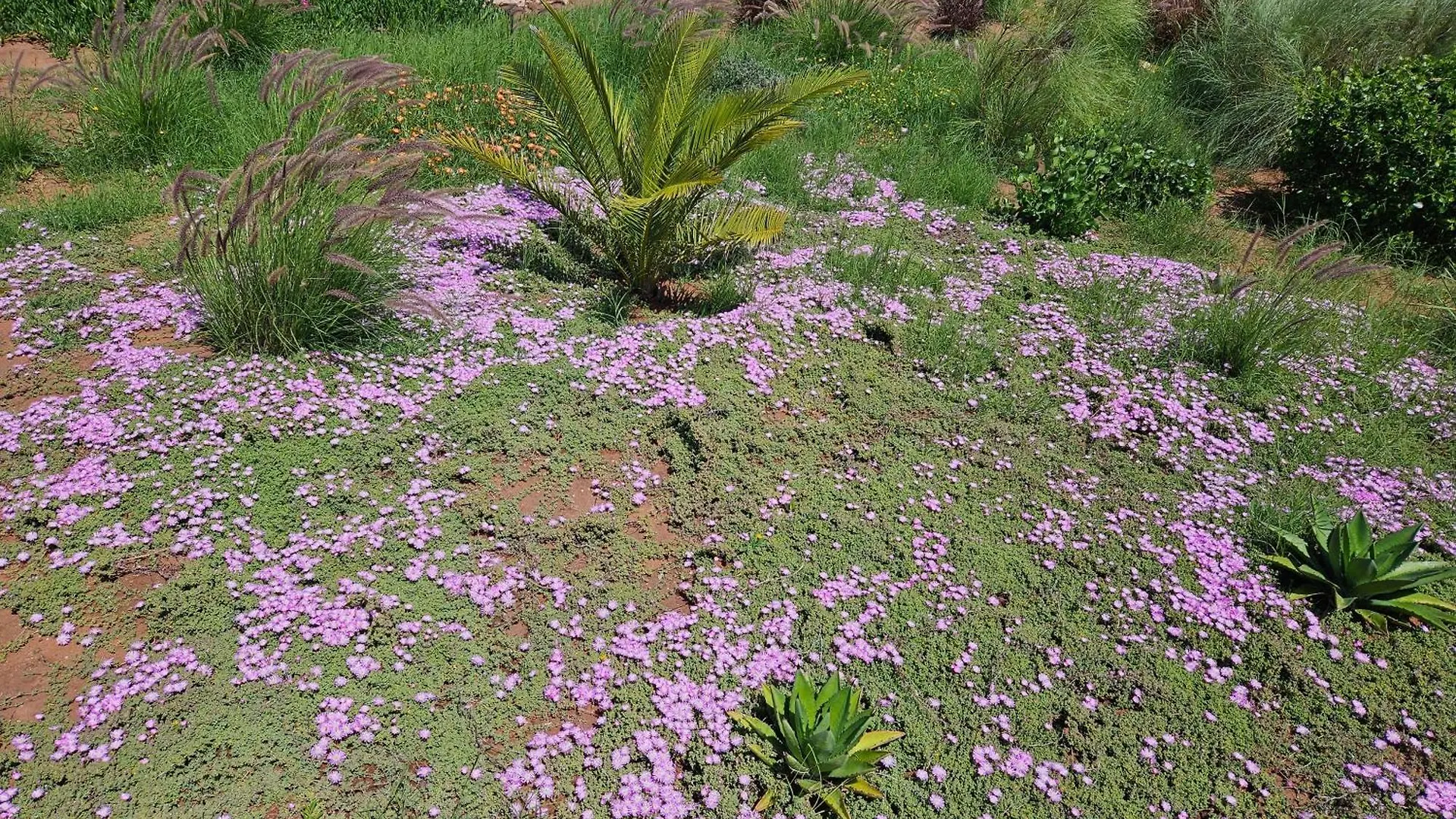 Le Clos De La Roussiere Essaouira 0*,  Marocco
