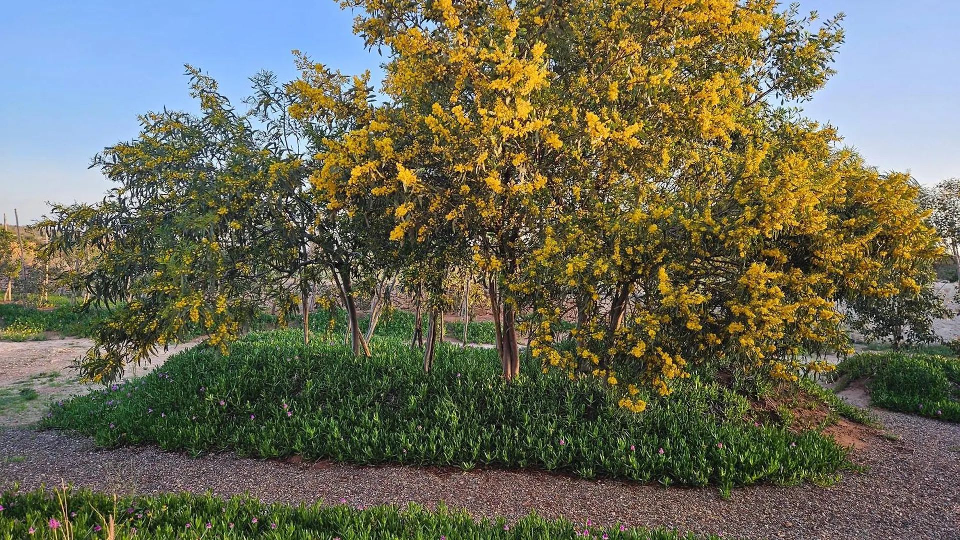 לינה וארוחת בוקר אסאוירה Le Clos De La Roussiere מרוקו